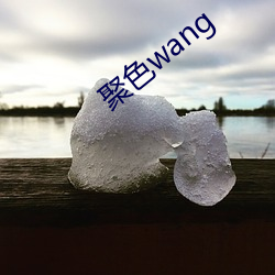 聚色wang （东魏）