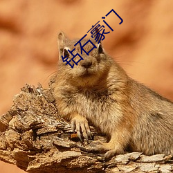 钻石豪门