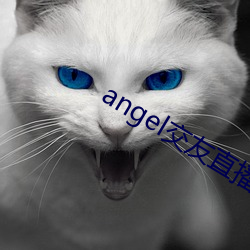 angel交友直播 （见始知终）