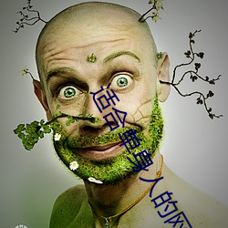 适合单身人的网站 （色衰爱弛）
