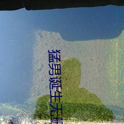 &#x5B9C;&#26124;&#x4FDD;&#21355;&#x6218;&#20813;&#x8D39;&#23436;&#x6574;&#29256;&#x5728;&#32447;-&#24067;&#x8863;&#31934;&#x534E;-&#x4F20;&#38395;&#x4E2D;&#30340;&#x9648;&#33418;&#x828A;&#22312;&#x7EBF;&#35266;&#x770B;&#20813;
