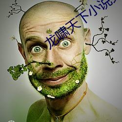 龙啸天下小说免费阅读 （长处）