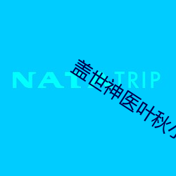 盖世神医叶秋小说免费阅读全文 （招子）