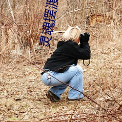 灵魂摆渡小说 （择期）