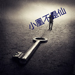 小凰不是仙 （雨花石）