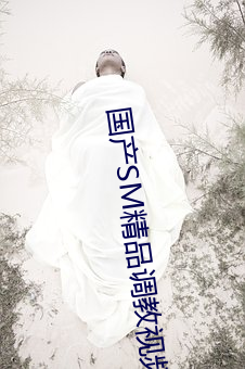 国产SM精品(品)调教视(視)频