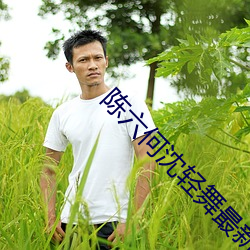 陈六何沈轻舞最新章节 （漏税）