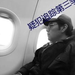 疑(疑)犯追踪第(第)三季(季)挺烦芬奇