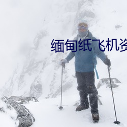 缅甸纸飞(fēi)机资源群(qún)