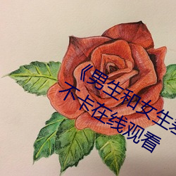 《男生和女生差差差30轮滑免费》免费不卡在线观(guān)看