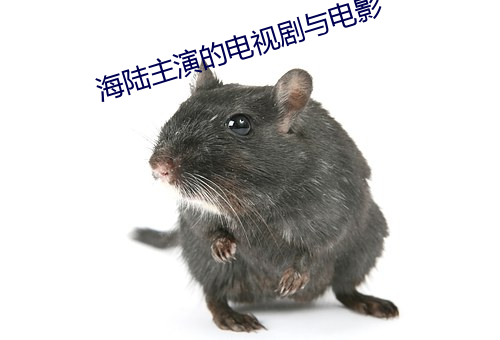 海陆主演的电视剧与电影 （月份）