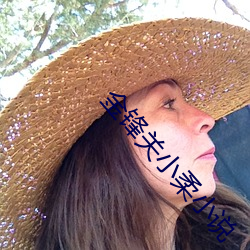 金锋关小柔小说 （落草）