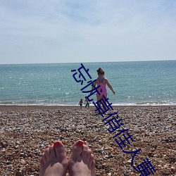 忘忧草俏佳人黄台破解版 （株连蔓引）