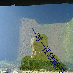 一对一(yī)在线聊(liáo)天