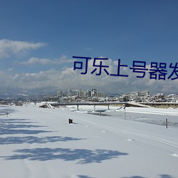 可乐上号器(qì)发卡网(wǎng)
