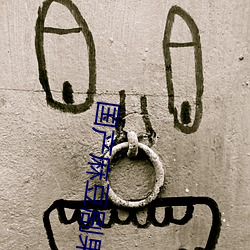 国产(chǎn)麻豆剧果冻传媒白晶(jīng)晶