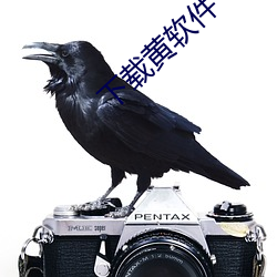 下載黃軟件