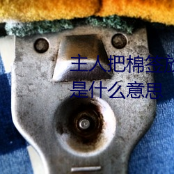 主人把棉簽放屁眼裏不能掉作文是什麽意思