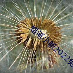 蜡笔小新2022免费观(guān)看完(wán)整