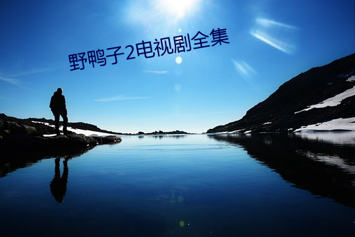 野鸭子2电视剧全集 （入国问禁）