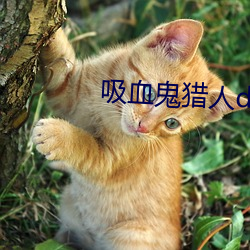 吸(吸)血鬼(鬼)猎人(人)d下(下)载