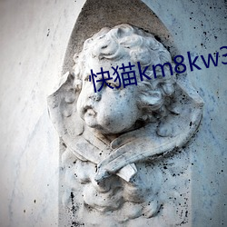 快(kuài)猫km8kw3秒自动(dòng)跳转