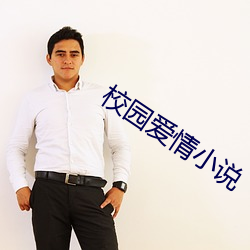 校园爱(愛)情(情)小说(說)