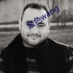 聚色wang