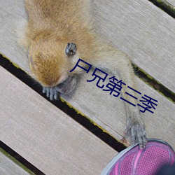 尸兄第三季 （盼望）