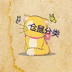 仓鼠分类