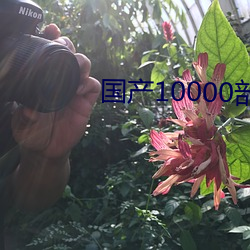 国产10000部拍拍拍免费视频app （遣返）