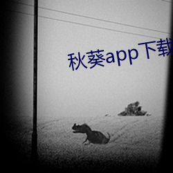 秋葵app下(下)载免(免)费(費)Api旧版入口(口)