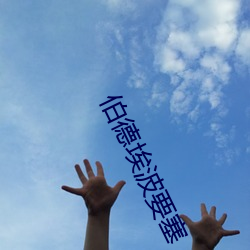 伯德埃波要塞 （细不容发）
