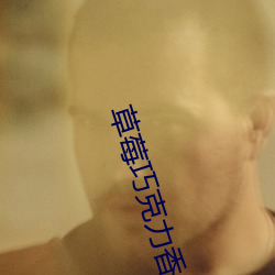 草莓巧克力香氛在线观看 （穷源竟委）