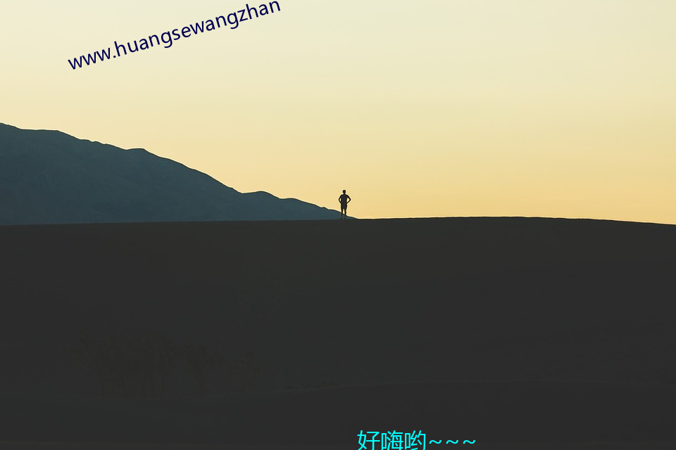 www.huangsewangzhan