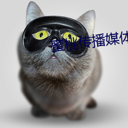 蜜桃传播媒(méi)体在线免费(fèi)观看大巴