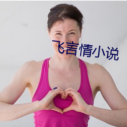 飞言情小(小)说