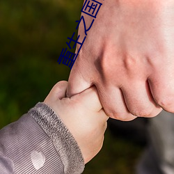 重生之国民男神