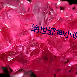 绝世邪神小说