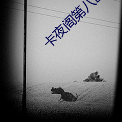 卡(卡)夜(夜)阁第(第)八区(區)