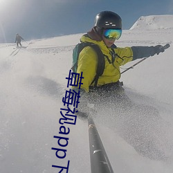 草莓视app下载安装旧版本 （马鞍子）