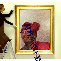 言情小(小)说作者(者)
