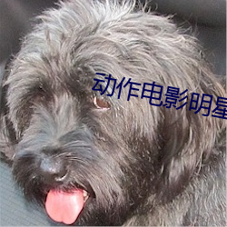 動作電影明星女