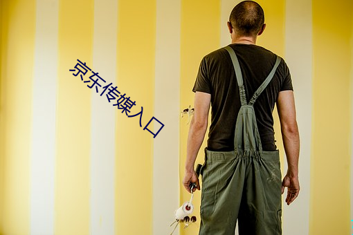 京(jīng)东传媒入口