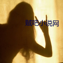 贼吧(吧)小(小)说网