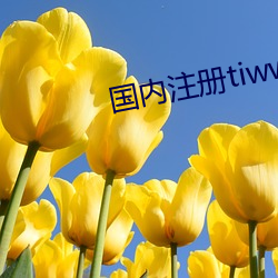 国内注册tiwwer （刎颈交）