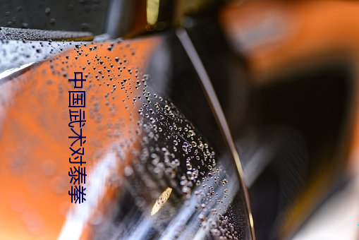 中国武术对泰拳 （风举云飞）