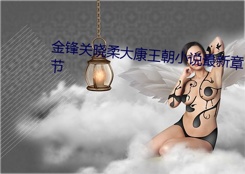 金(jīn)锋关晓柔大(dà)康王朝小说最(zuì)新章节