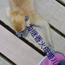 为继香火母借儿种