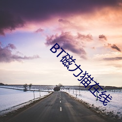 BT磁(cí)力猫在线(xiàn)